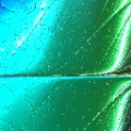 Shader 203